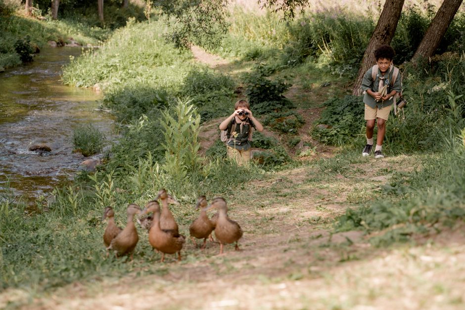 Two boys exploring wildlife and observing ducks in a tranquil forest setting during daytime.